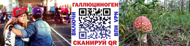 даркнет сайт  Болотное  Псилоцибиновые грибы Psilocybine cubensis 